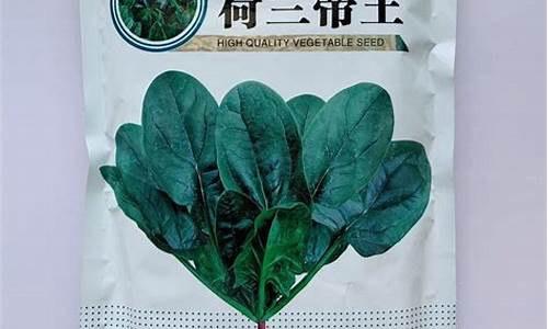 lol菠菜吧：菠菜公司排名(菠菜公司排名第一)